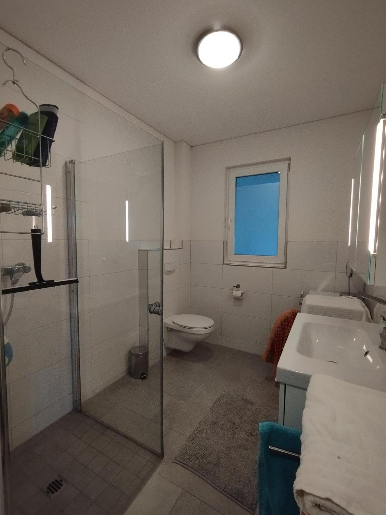 Crown Living Design Apartment - Gratis Parkplatz - Wlan - Kueche - Self Check-In Altach エクステリア 写真