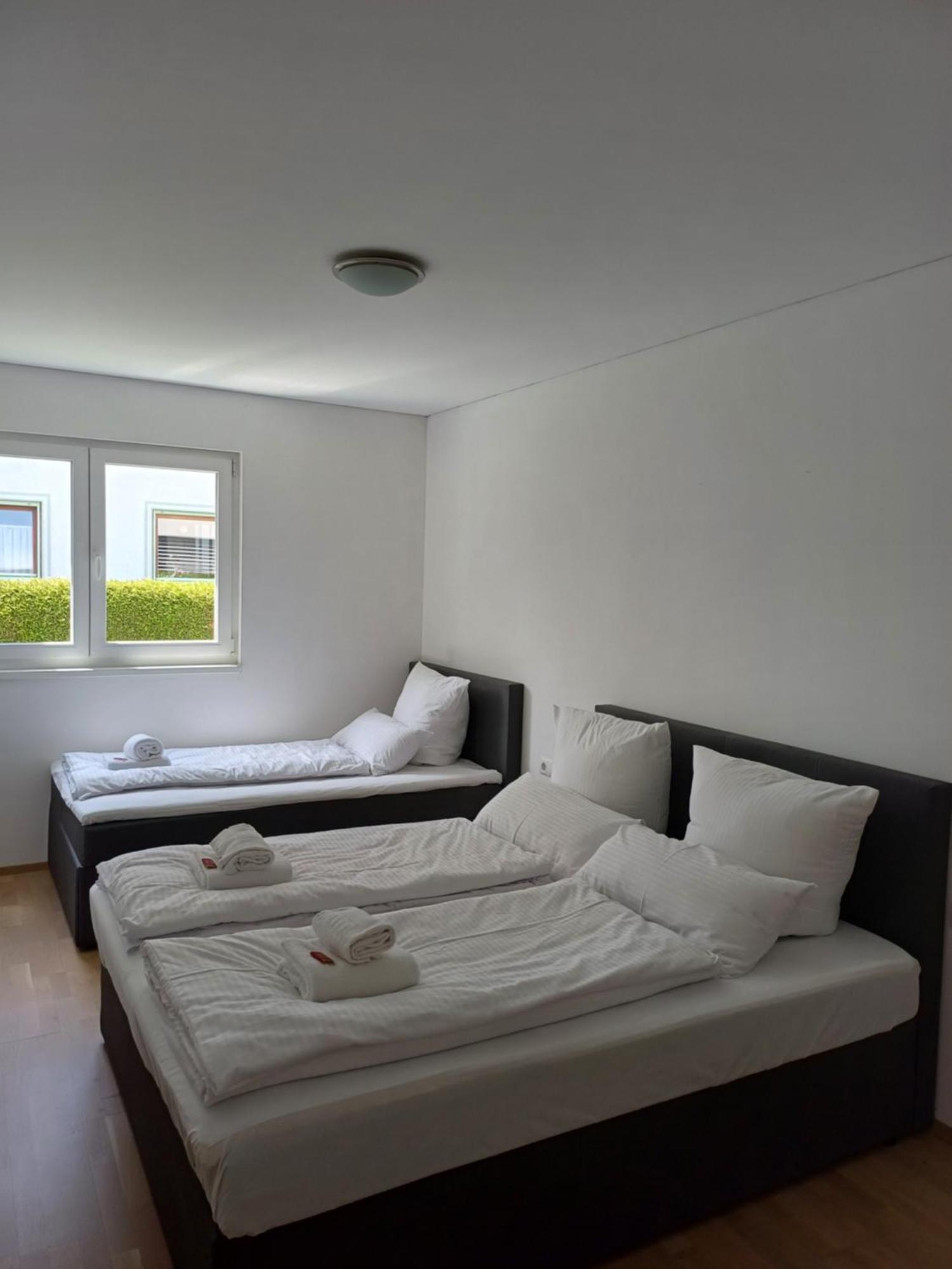 Crown Living Design Apartment - Gratis Parkplatz - Wlan - Kueche - Self Check-In Altach エクステリア 写真